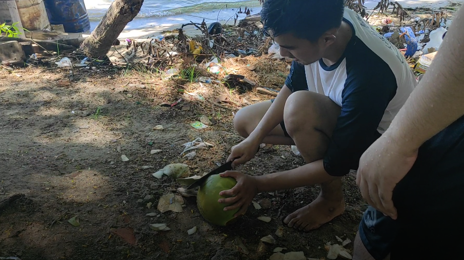 kelapa